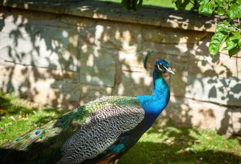 Northern Hideaways Apple Store, Ellingham