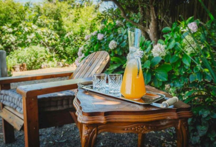 بنسيون Atello Guesthouse