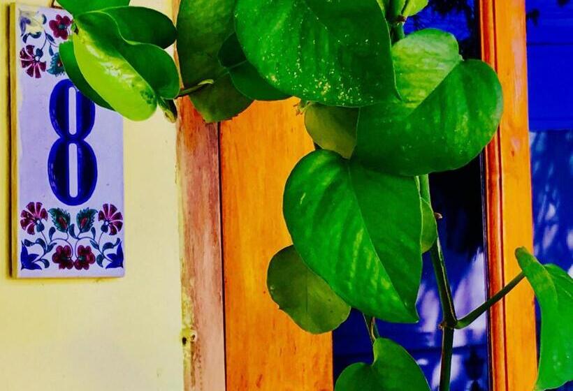 پانسیون Casa Do Sândalo Boutique Guest House