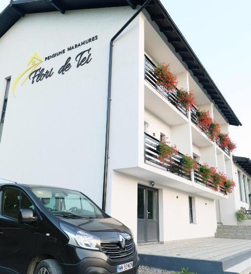 بنسيون Flori De Tei Maramures