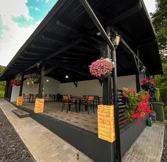 بنسيون Flori De Tei Maramures