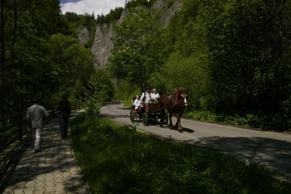 פנסיון Rekreačna Usadlosť Pieninka