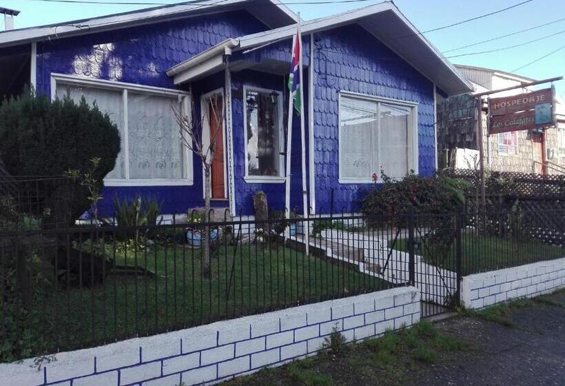 펜션 Hospedaje Los Calafates