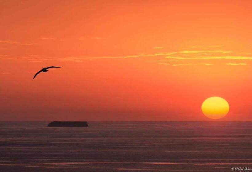 펜션 Il Dammuso E Le Stelle