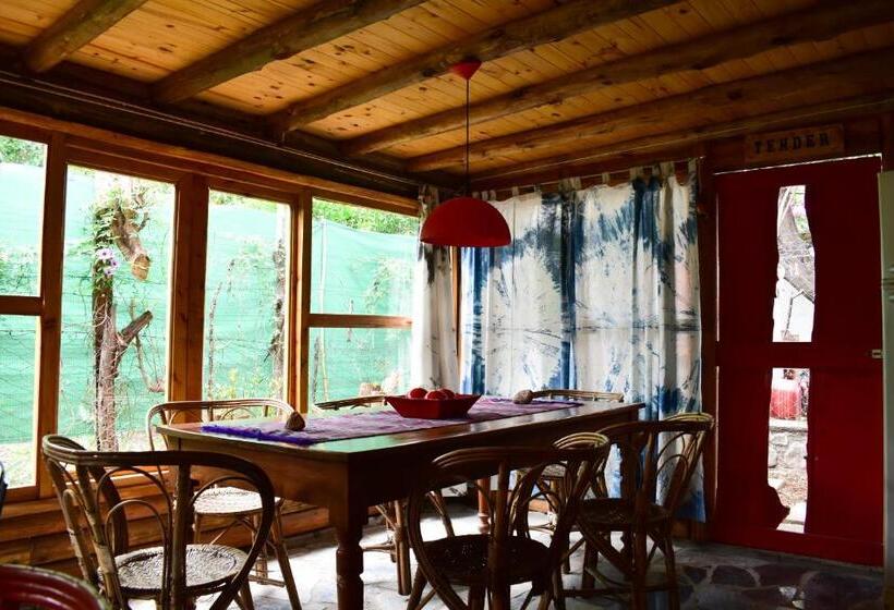 بنسيون Infinito Chill0ut