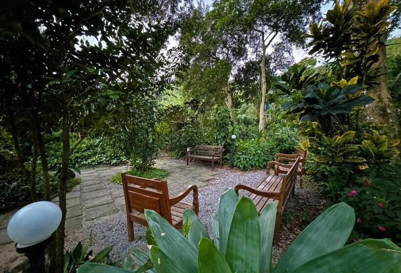 פנסיון Joãoemaria Da Ilha