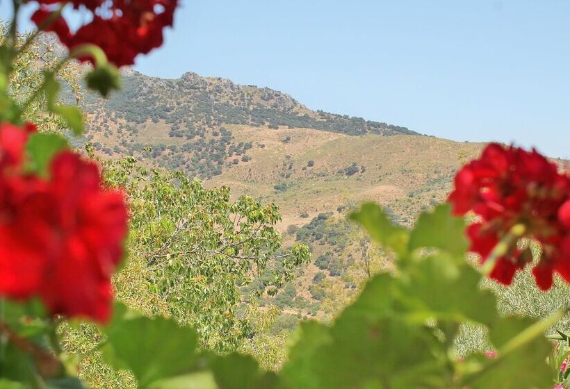 פנסיון Casa Rural Los Algarrobales