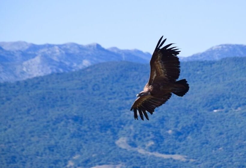 פנסיון Casa Rural Los Algarrobales