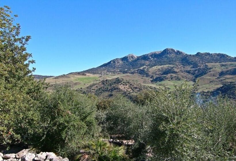 بنسيون Casa Rural Los Algarrobales