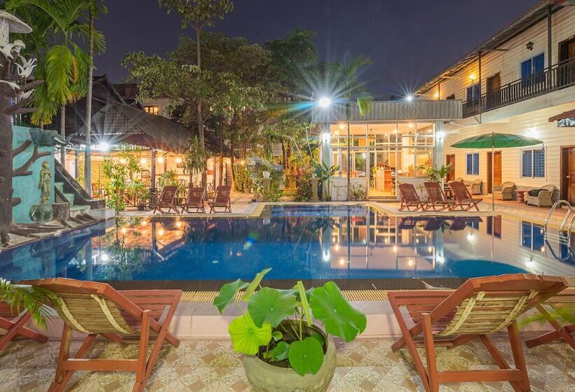 פנסיון Lotus Bleu Guest House