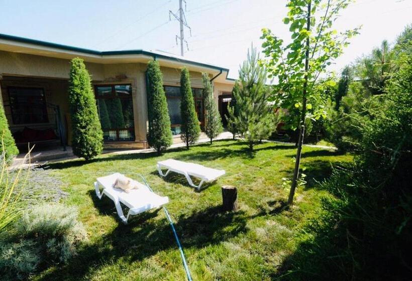 פנסיון Mavie Guest House