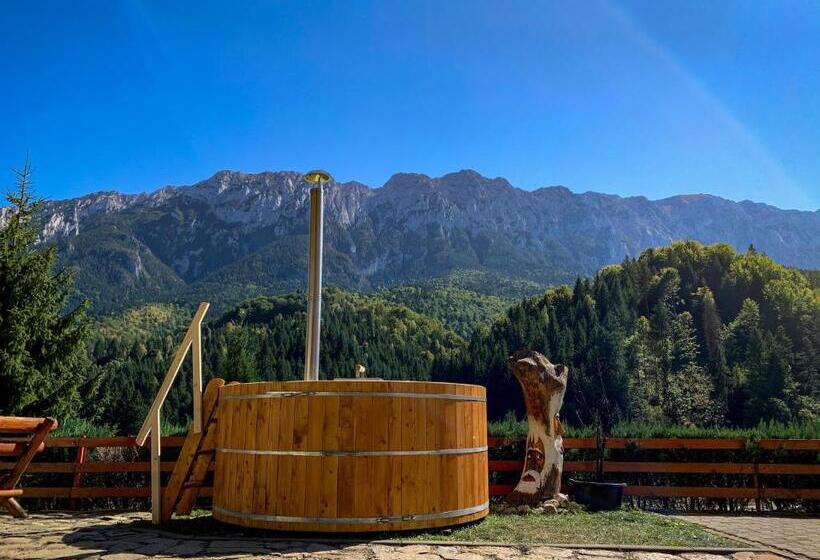 ペンション Panorama Pietrei Craiului