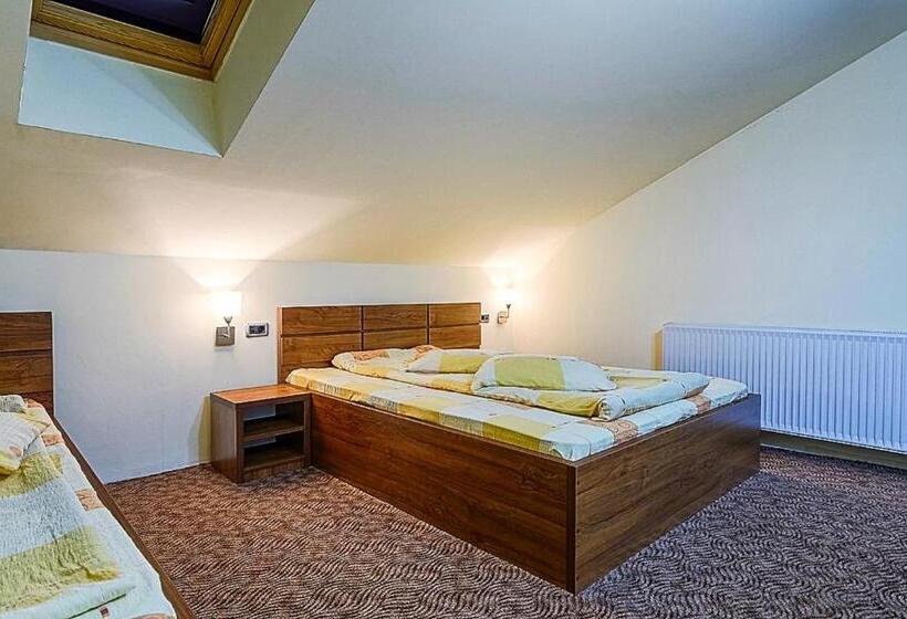 ペンション Panorama Pietrei Craiului