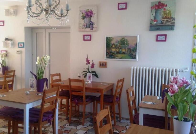 펜션 Penzión Vilka Podhájčanka