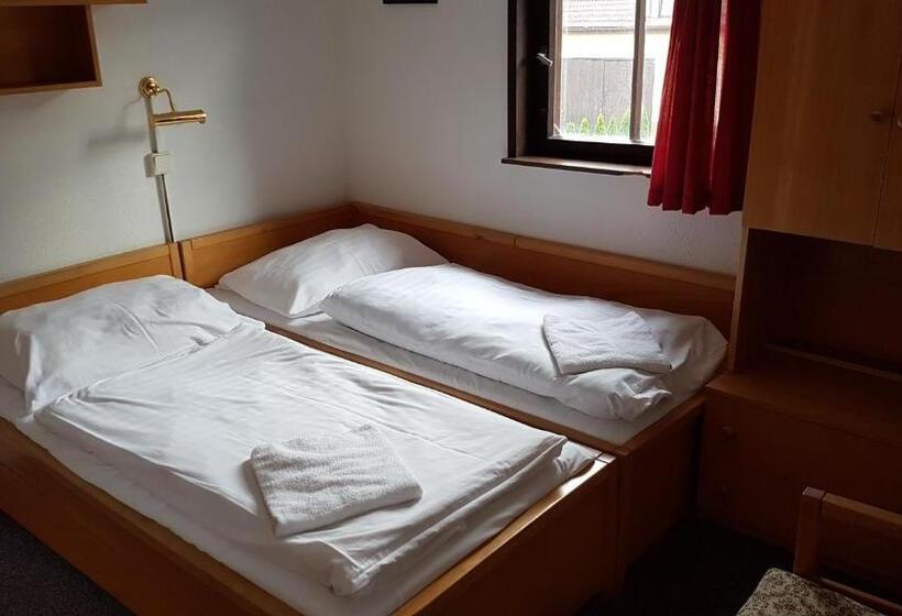 ペンション Penzion Přeštěnice