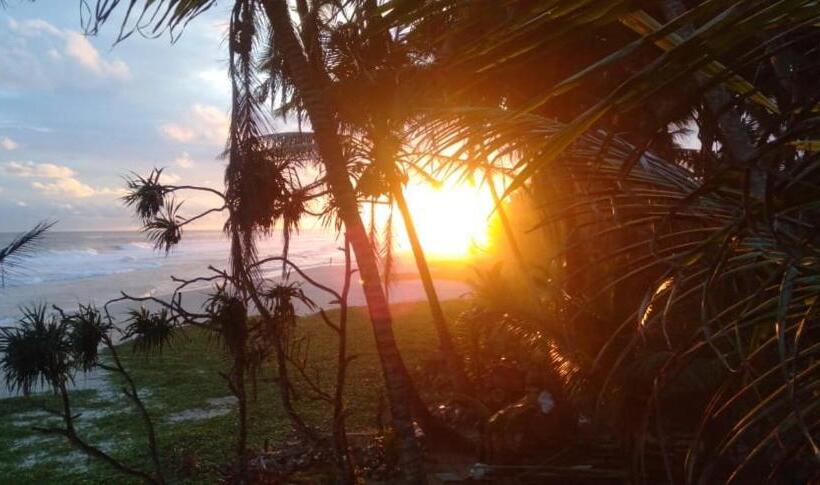 펜션 Sea Garden Beach Resort