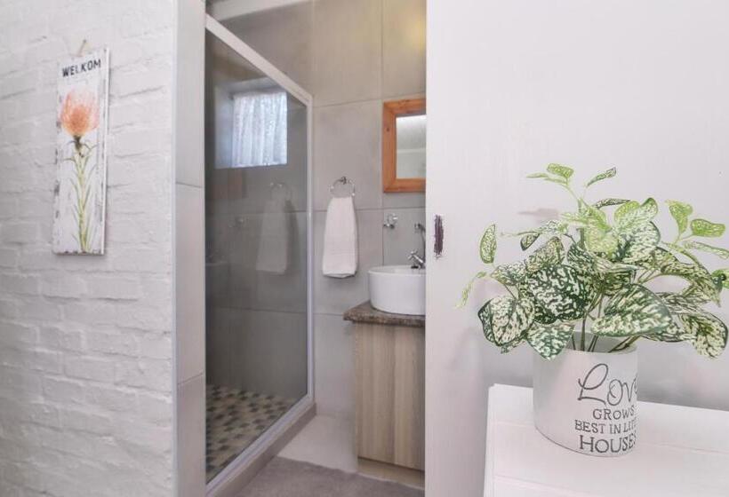 بنسيون The Cove