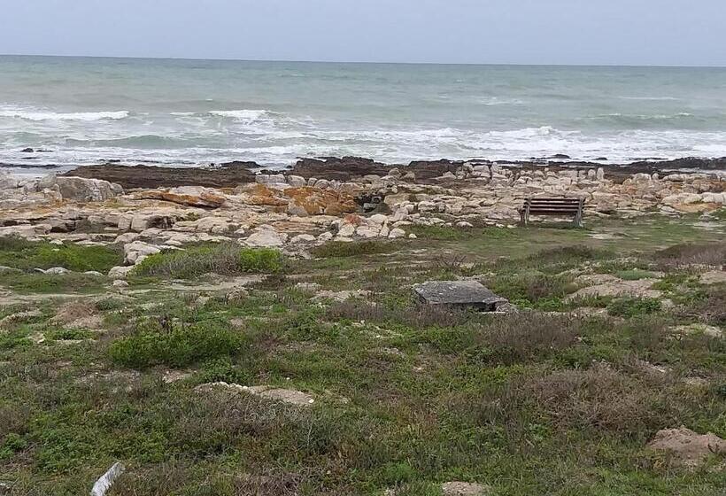 بنسيون The Cove