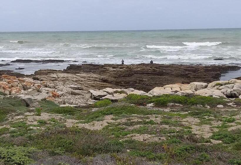 بنسيون The Cove