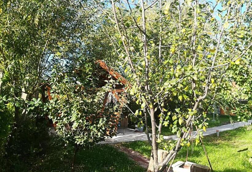 膳宿费 Vár Liget Vendégház