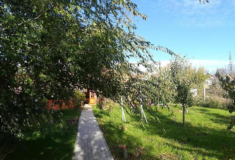 膳宿费 Vár Liget Vendégház