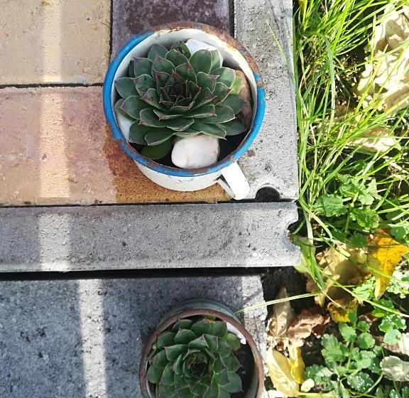 膳宿费 Vár Liget Vendégház