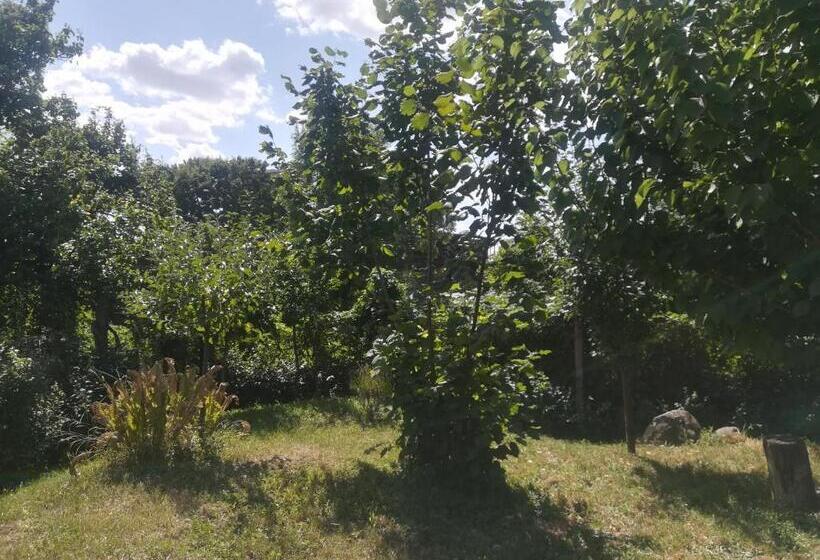 ペンション Vár Liget Vendégház