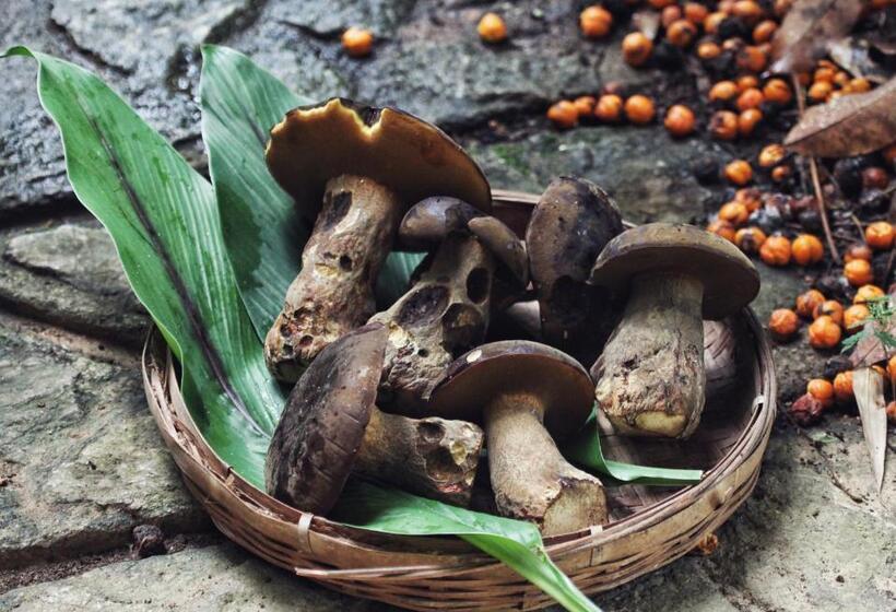 ペンション You Ran Tai