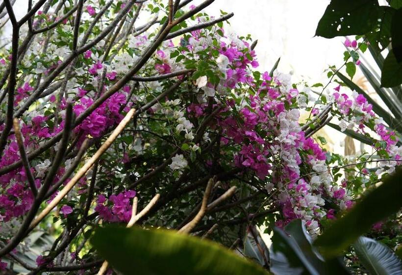 ペンション You Ran Tai