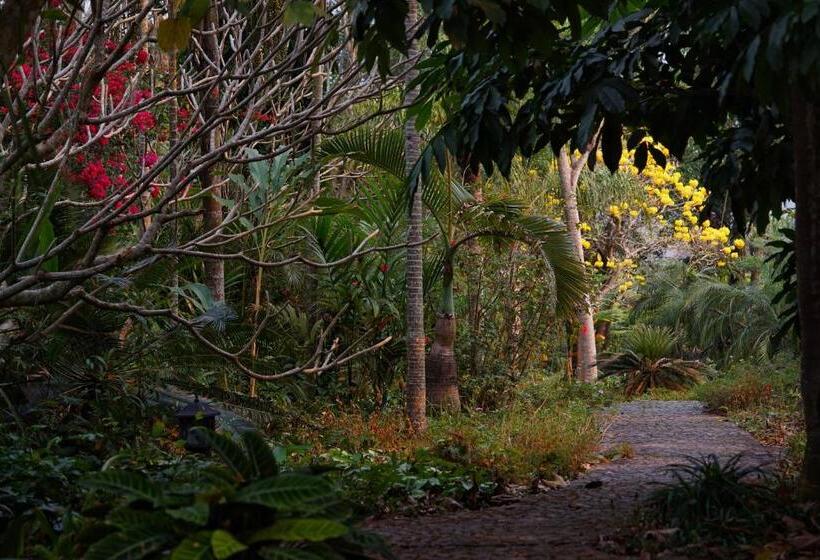 ペンション You Ran Tai