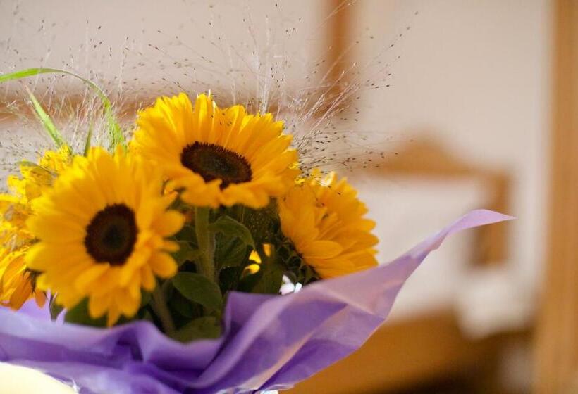 膳宿费 Zentrum Für Umwelt Und Kultur   Gästehaus Und Jugendbildungseinrichtung Im Maierhof