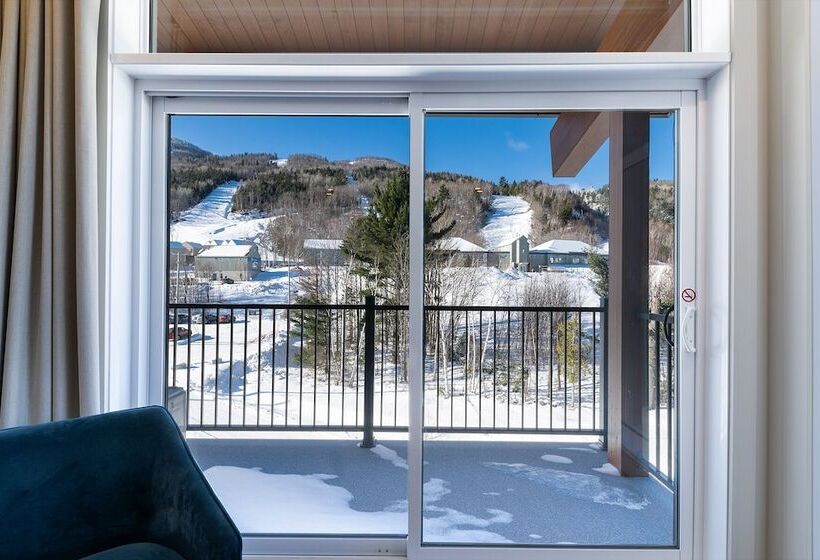 Les Caches De La Grande Pointe