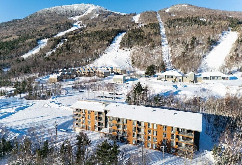 Les Caches De La Grande Pointe