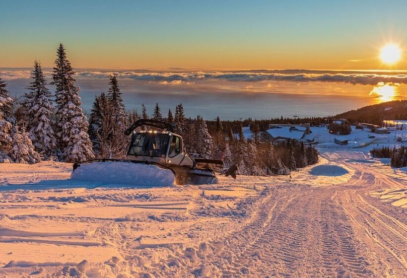 Les Caches De La Grande Pointe