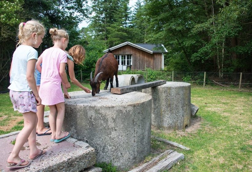 استراحتگاه Europarcs De Wiltzangh