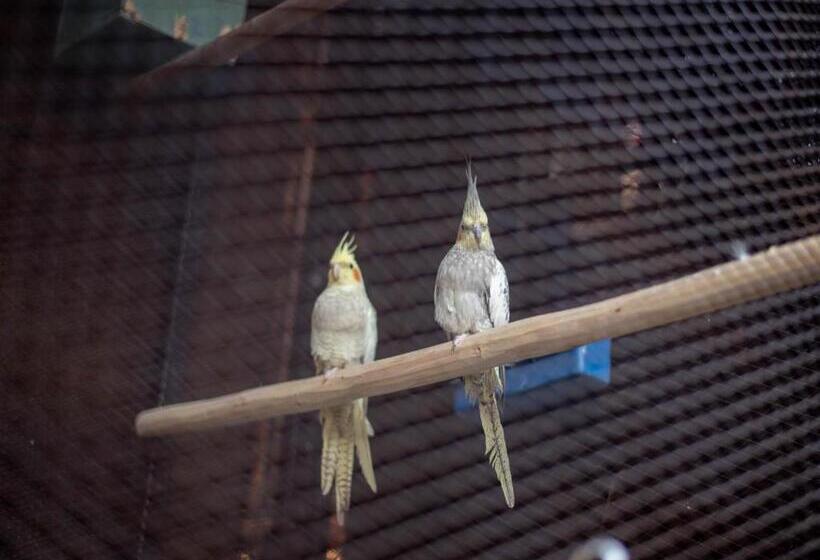 ریاض Villa Septha