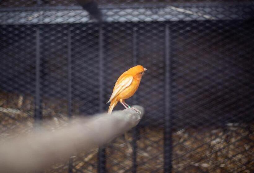 ریاض Villa Septha