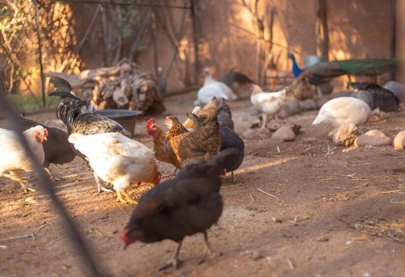 ریاض Villa Septha