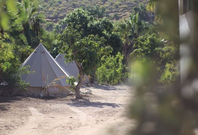 Todos Santos Hostel