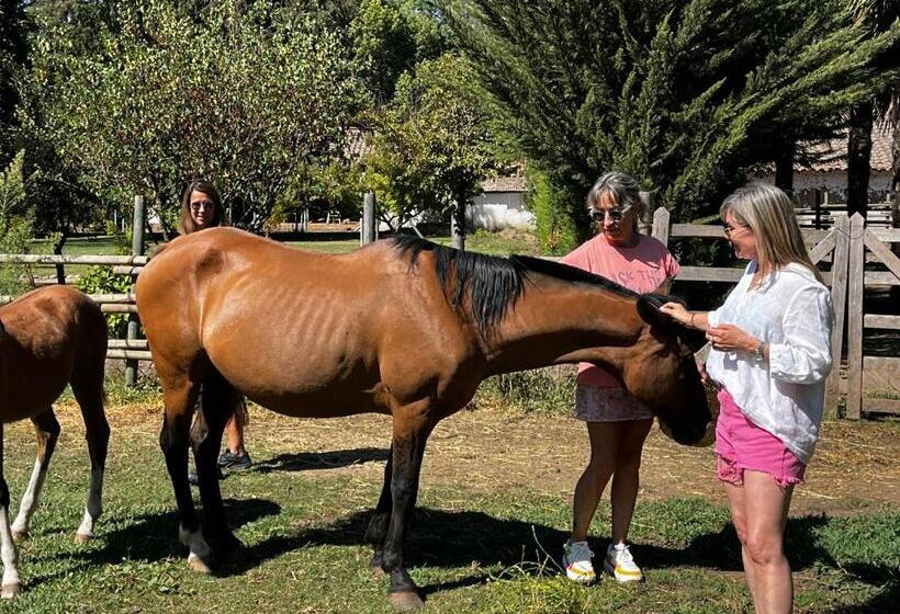 Bed and Breakfast Casona La Fogonera