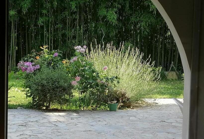 Bed and Breakfast Chez Yvette & Shoji