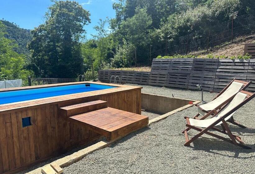 Bed and Breakfast I Due Ulivi