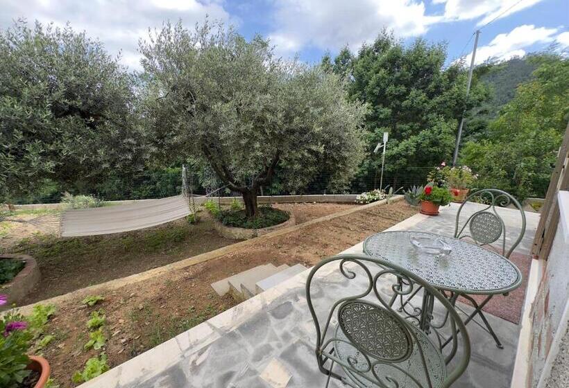 Bed and Breakfast I Due Ulivi