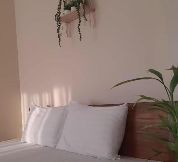 تختخواب و صبحانه The Dew Drop