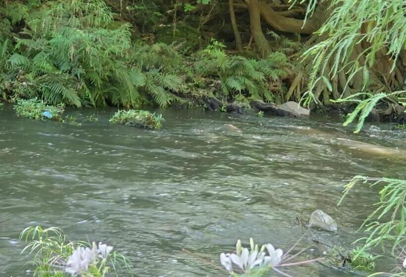 ベッドアンドブレックファースト Teques Romantic Fogata Y Naturaleza