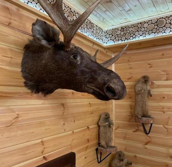 Hotel гостинично банный комплекс майами люкс