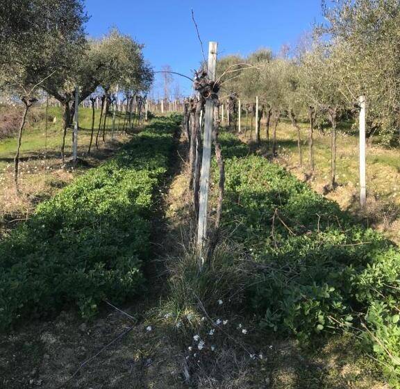 فندق Agriturismo Cerquatonda