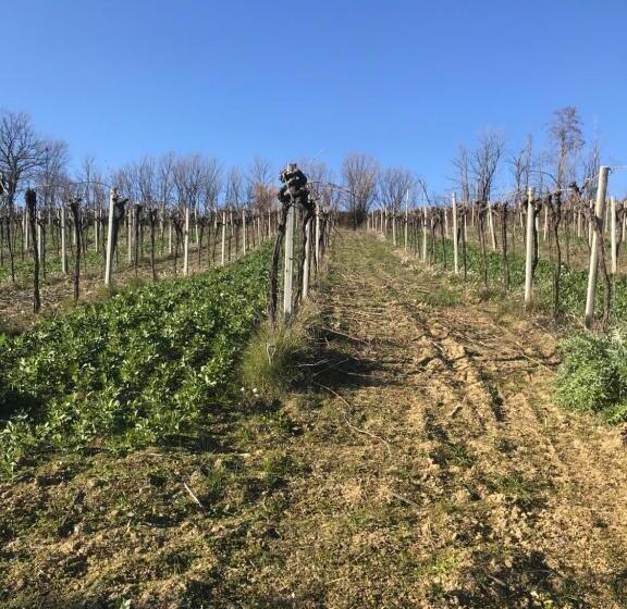 فندق Agriturismo Cerquatonda