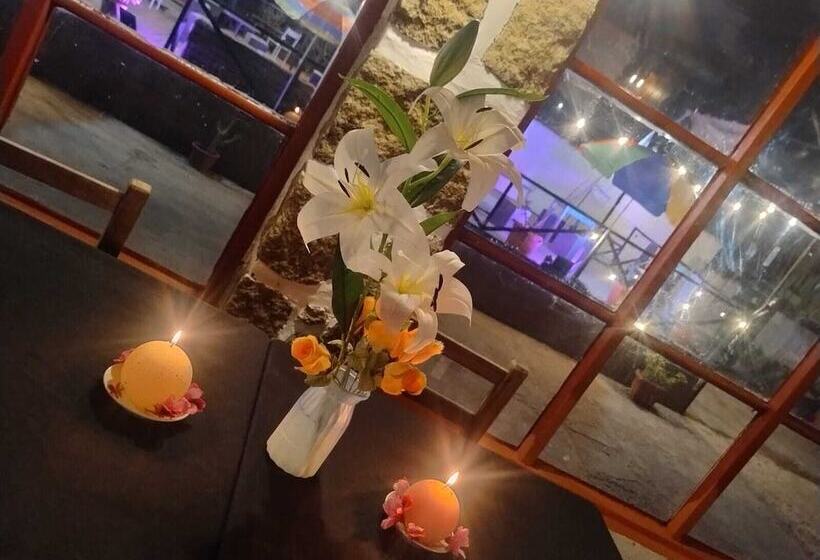 فندق Brisas Del Quisco