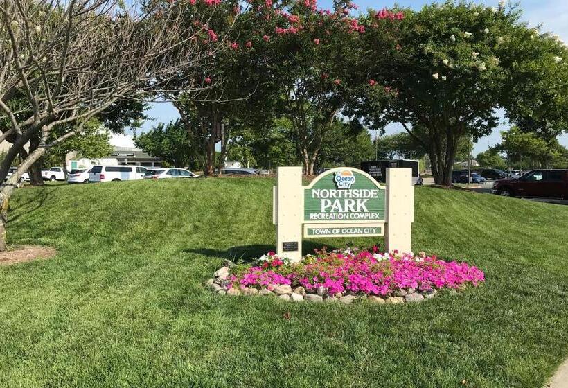 Отель Mayfair Beach 503